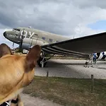 Ferienhaus A Theme D-day - Situe A 15mn D'omaha - Animaux Ok - Terrain Clos - Aucuns Voisins - Wifi (adults Only)