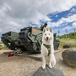 A Theme D-day - Situe A 15mn D'omaha - Animaux Ok - Terrain Clos - Aucuns Voisins - Wifi (adults Only) * Cartigny-l'Epinay