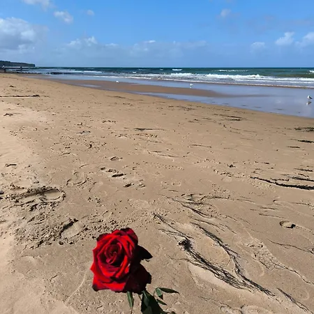 A Theme D-day - Situe A 15mn D'omaha - Animaux Ok - Terrain Clos - Aucuns Voisins - Wifi (adults Only) * Cartigny-l'Epinay