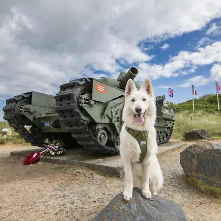 A Theme D-day - Situé à 15mn D'omaha - Animaux Ok - Terrain Clos - Aucuns Voisins * Cartigny-l'Epinay