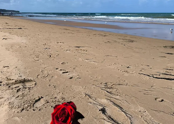 A Theme D-day - Situe A 15mn D'omaha - Animaux Ok - Terrain Clos - Aucuns Voisins - Wifi (adults Only) * Cartigny-l'Epinay