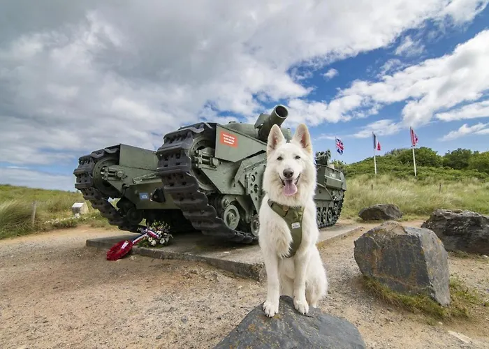 A Theme D-day - Situe A 15mn D'omaha - Animaux Ok - Terrain Clos - Aucuns Voisins - Wifi (adults Only) * Cartigny-l'Epinay